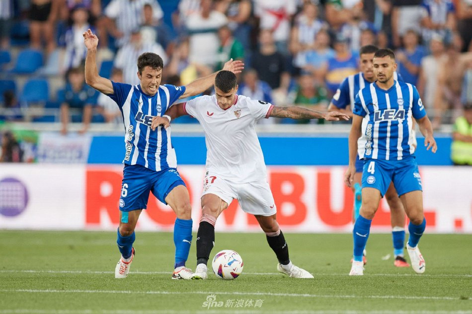 的长青树 的长青树